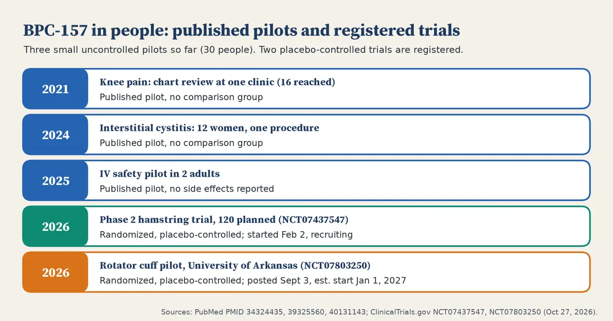 Timeline with five rows. 2021: knee pain chart review at one clinic, 16 patients reached, no comparison group. 2024: interstitial cystitis pilot in 12 women, no comparison group. 2025: IV safety pilot in 2 adults, no side effects reported. 2026: phase 2 hamstring trial, 120 planned, randomized and placebo-controlled, recruiting. 2026: University of Arkansas rotator cuff pilot, randomized and placebo-controlled, estimated start January 1, 2027.
