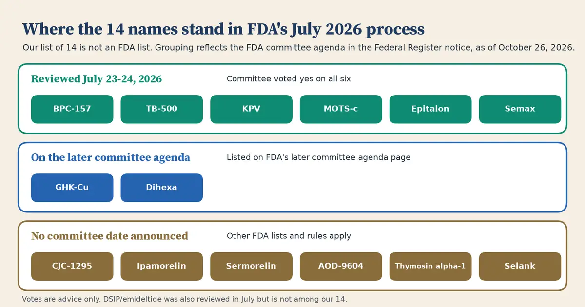 Three rows of labeled tiles grouping the 14 peptide names by FDA committee agenda. Reviewed July 23 and 24, 2026: BPC-157, TB-500, KPV, MOTS-c, epitalon and semax. On the later agenda: GHK-Cu and dihexa. No committee date announced: CJC-1295, ipamorelin, sermorelin, AOD-9604, thymosin alpha-1 and selank.