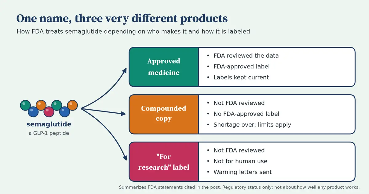 A short chain of colored beads labeled semaglutide, with arrows to three cards: approved medicine (FDA reviewed, approved label), compounded copy (not FDA reviewed, shortage over) and research-labeled product (not for human use, warning letters sent).