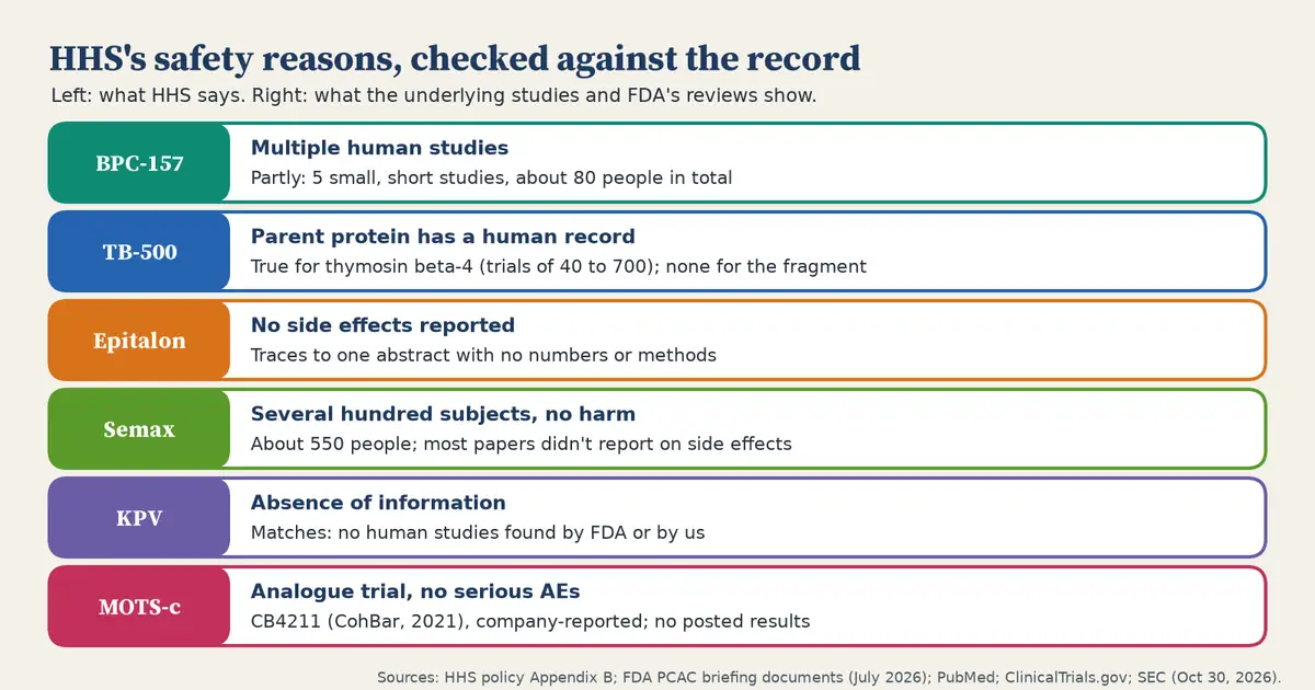 Six rows. BPC-157: HHS cites multiple human studies; partly, five small, short studies with about 80 people in total. TB-500: HHS cites the parent protein's human record; true for thymosin beta-4, with trials of 40 to 700 people, but none for the fragment. Epitalon: no side effects reported; traces to one abstract with no numbers or methods. Semax: several hundred subjects with no harm; about 550 people, and most papers didn't report on side effects. KPV: absence of information; matches, with no human studies found by FDA or by us. MOTS-c: an analogue trial with no serious adverse events; CB4211 from CohBar in 2021, company-reported, with no posted results.