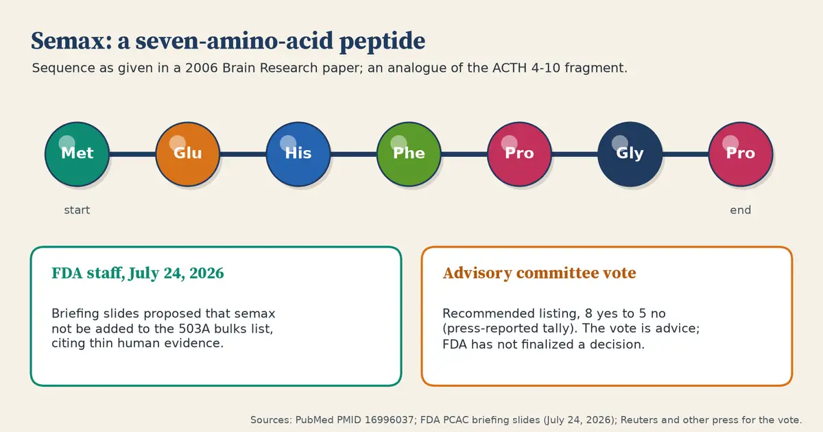 Seven connected beads labeled Met, Glu, His, Phe, Pro, Gly and Pro, the amino acid sequence of semax. Two cards below: FDA staff proposed on July 24, 2026 that semax not be listed; the advisory committee voted 8 yes to 5 no to recommend it, according to press reports.