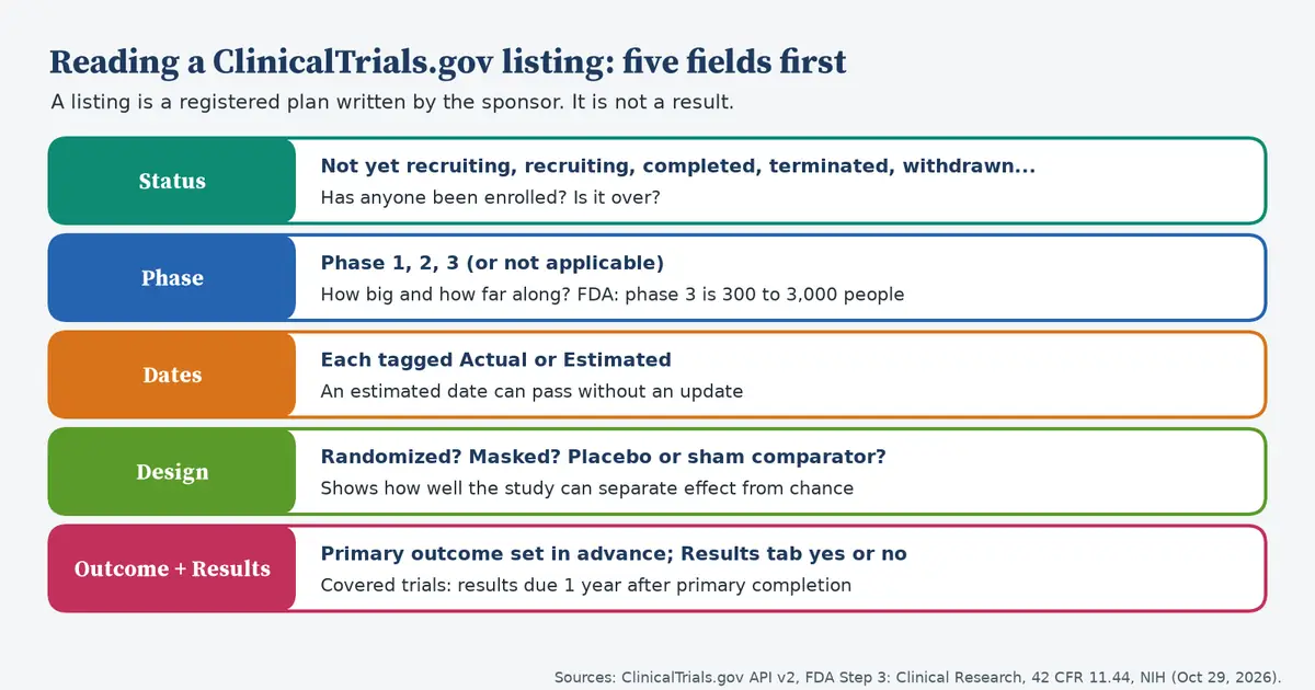 Five colored rows. Status: not yet recruiting, recruiting, completed, terminated, withdrawn; has anyone been enrolled, is it over. Phase: phase 1, 2, 3 or not applicable; FDA says phase 3 is 300 to 3,000 people. Dates: each tagged actual or estimated; an estimated date can pass without an update. Design: randomized, masked, placebo or sham comparator. Outcome and results: primary outcome set in advance, results tab yes or no; covered trials owe results one year after primary completion.
